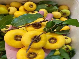 Thị sáp, hoa cau nguyên bẹ đắt hàng ngày mùng 1 mùa Vu Lan